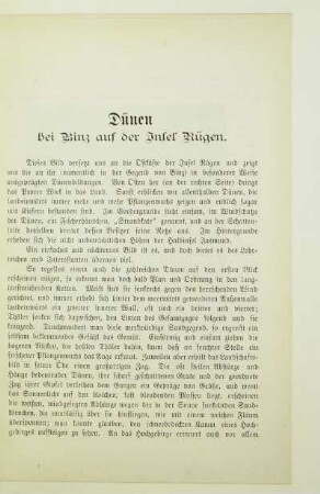 Dünen bei Binz auf der Insel Rügen