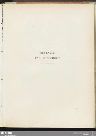 Tafel LXXXVI. Pleuronautilus