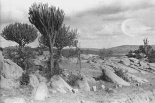 Landschaft bei Kondoa : Landschaft mit Trockenvegetation bei Kondoa