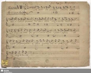 Solimano. Excerpts - Mus.2477-F-71 : S, orch, bc