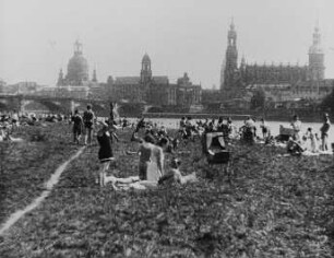 Szene aus dem Dokumentarfilm "Sommer an der Elbe": Badeleben zwischen Augustus- und Marienbrücke