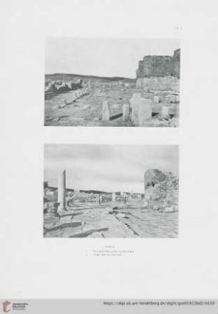 Planche I – XXIV