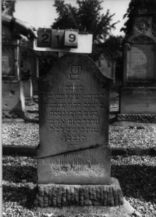 Grabstein 219 (Index: 99796955) Material: Sandstein Zustand: quer gebrochen, repariert, Textverlust Maße HxBxT: 102x60x22 cm Beschreibung: Stele, Sockel, Konvexbogenabschluß Symbolik: Levitenkanne mit Schale: Grabstein 219
