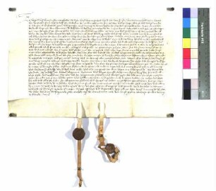 Die frommen und festen Hans von Wernau und Rudolf von Baldeck vollziehen folgenden Tausch an Zinsen und Gütern zu Pfauhausen (Husen): Hans von Wernau gibt dem von Baldeck Zinsen (Geld, Hühner; Zinsgeber: Hans Löblin aus dem Aichach, Hans Dürr, der des Rufen Gärtlein an der Megerin Gut inne hat) und das Hölzlein an dem Aichach. Dafür tauscht Rudolf von Baldeck an den von Wernau seinen Teil an dem Burgstall und Graben zu Pfauhausen.