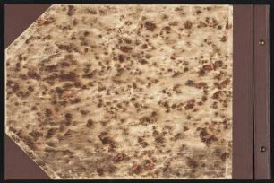 Album "Palestine – Egypte" von Max C. Sauer : Fotoalbum "Palestine – Egypte" des Piloten und technischen Direktors des brasilianischen Syndikats Condor Ltda., Max Christian Sauer. Mit Landschaftsbildern, Architekturaufnahmen, Sehenswürdigkeiten und Privatfotos einer Reise der Familie nach Ägypten und Palestina um 1920/1930. Kunstleder über starker Pappe, mit Marmorpapier verziert, marmoriertes Vorsatzpapier, brauner Karton, Nagelbindung; 33,5 x 50.5 x 3,8 cm. Dresden: SLUB/DF 2020.E.5