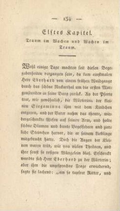 Elftes Kapitel. Traum im Wachen und Wachen im Traum