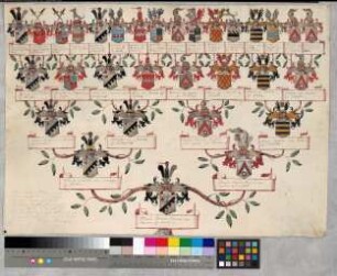 Proband: Morrien, Ferdinand Bernhard Dietrich von; Vater: Morrien, Dietrich Wilhelm von; Mutter: Wylich, Johanna Sophia von: Münster, Fbstm, Ritterschaft