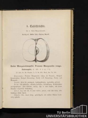 A. Tafelfrüchte Nr. 1-92