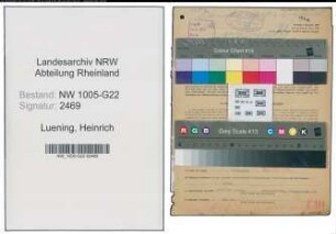 Entnazifizierung Heinrich Luening , geb. 29.05.1904 (Kaufmann)