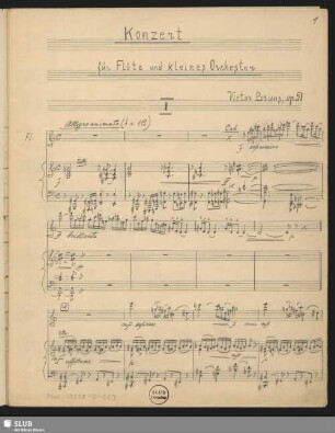 I - Allegro animato