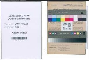 Entnazifizierung Walter Raabe , geb. 07.11.1909 (Arzt)