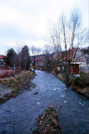 Blick auf die Hasel