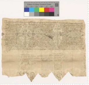Vertrag der beiden Bauherren Franz Witzendorff und Caspar Goedeman mit dem Maurermeister Albrecht Winckelman, der auf Lebenszeit in den Dienst der Stadt tritt. Eigenhändige Unterschrift.