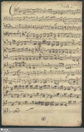 Viola 2da