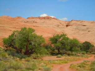 Landschaft in der Gegend der Irish Canyons am Highway 95