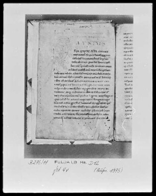 Tancred, ordo Iudiciarius und anderes — Initiale F (austus), Folio 4 verso