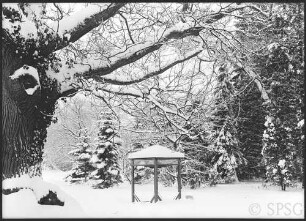 Potsdam, Pfaueninsel, Park.