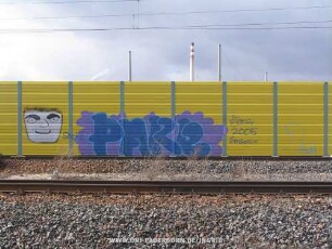 PARe | Socke Pare Pareone | 2005 | 2 | zwo
