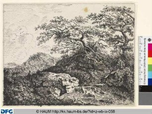 Landschaft