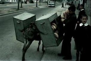 [Istanbul: Esel mit Brotschränken beladen]