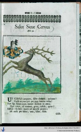 Saliet Sicut Cervus