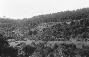 Wachholderlandschaft : Blick auf einen Wachholderlandschaft auf dem Weg zum Felsen Wackerstein