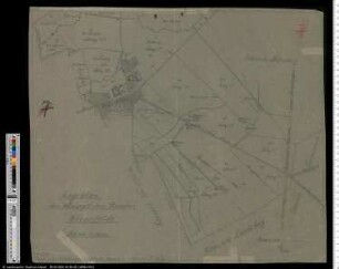 Lageplan der herzoglichen Domäne Wormsfelde