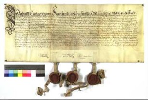 Johann Eustachius, Deutschmeister, nimmt Leopold Hermann v. Oynhausen in den D.O. auf.