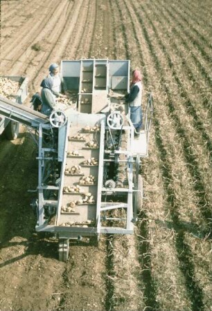 Fotografie: Erntetechnik, Kartoffel, Rodelader, Arbeitsplatz