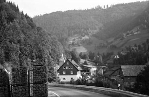Wildgutach: Sägewerk; Straße mit Holzstapel
