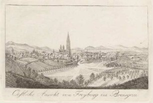Oestliche Ansicht von Freyburg im Breisgau