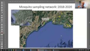 Potential endemisation of West Nile and Usutu viruses in the South of France