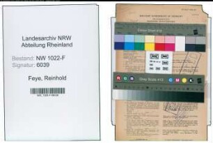 Entnazifizierung Reinhold Feye , geb. 13.09.1894 (Arzt)