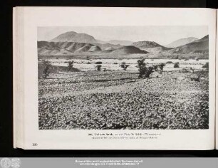 [V. Die mittlere Sahara]