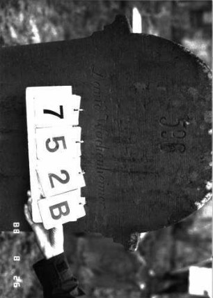 Grabstein 752 (Index: 100099550) Maße HxBxT: 137x54x19 cm Symbolik: Levitenkanne: Grabstein 752B