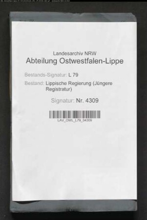 Rechnungen über die Revenuen der Prinzessin Luise zur Lippe, Band 3