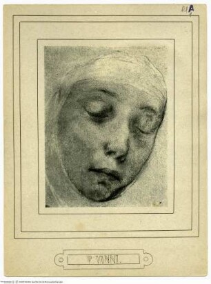 Kopf einer Heiligen (Katharina von Siena?)