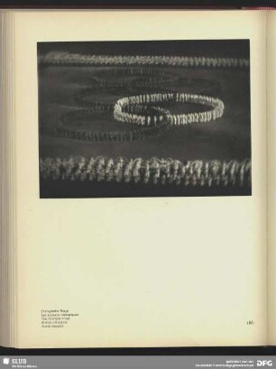 Olympische Ringe