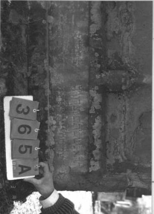 Grabstein 365 (Index: 99786220) Zustand: Vorderseite fast vollständig abgeblättert Maße HxBxT: 240x104x26 cm Besonderheit: Doppelgrab: Grabstein 365A
