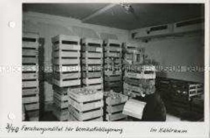 Forschungsinstitut für Gemüsekühllagerung Magdeburg