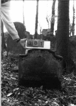 Grabstein 381 (Index: 100115716) Material: Sandstein Zustand: stark verwittert, im Boden versunken mit Textverlust Maße HxBxT: 65x61x10 cm Beschreibung: Stele mit eingezogenem Segmentbogenabschluß Symbolik: Blüte: Grabstein 381