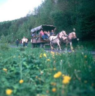 Spessart. Planwagenfahrt durch die Wälder