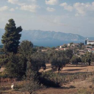 Agriovótanon, Nord-Euböa. Agriovótanon gegen Trikkeri
