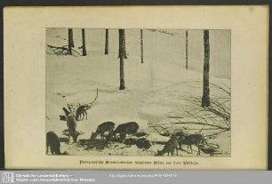 Photographische Momentaufnahme schöpfenden Wildes aus freier Wildbahn
