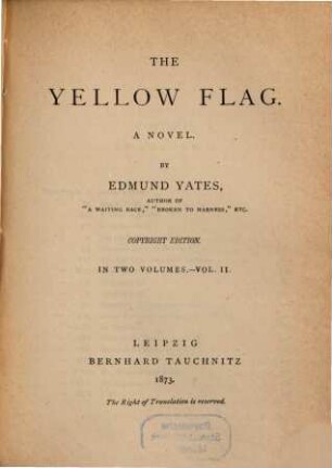 The yellow flag : a novel, 2