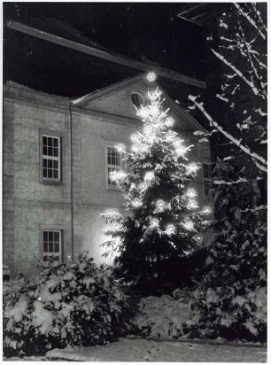 Winter im Schlosspark, Beleuchteter Tannenbaum vor der Stadthalle, mit Schnee. Detmold