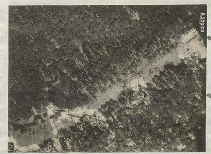 Schützengräben im Vogelholz südlich Schleißheim (900 m)