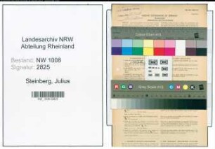 Entnazifizierung Julius Steinberg , geb. 08.11.1891 (Kaufm.Angestellter)