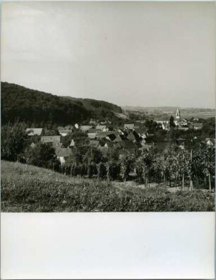 Bleichheim