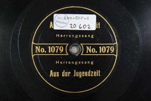 Aus der Jugendzeit / [Volkslied] / [Musik: Robert Radecke. Text: Friedrich Rückert]